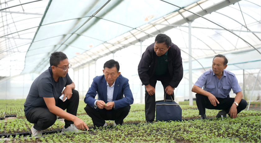 1765337496813136.png 南京市江寧區(qū)關(guān)工委“五老”在創(chuàng)業(yè)青年農(nóng)民李林的農(nóng)場中幫助查勘種苗培育情況(1).png