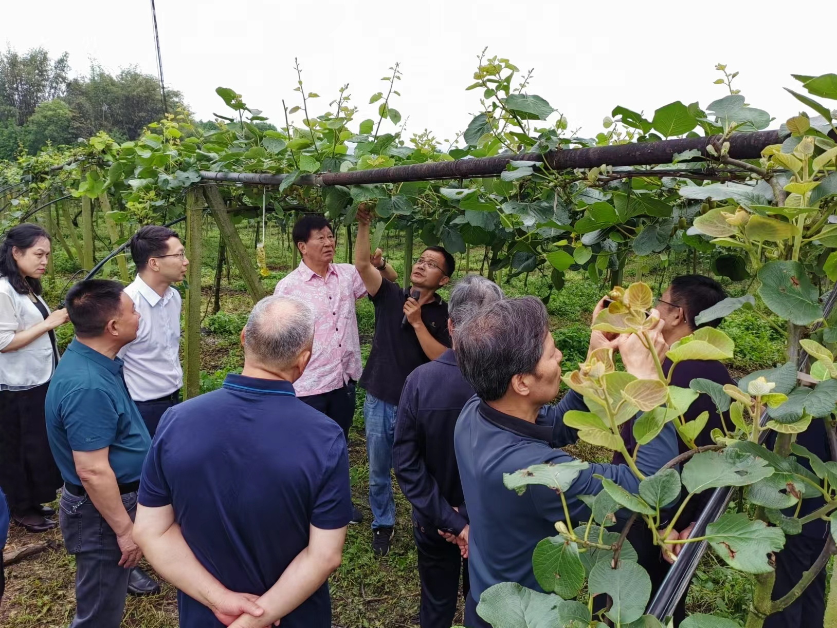 四川省關(guān)工委調(diào)研組調(diào)研瀘州助力鄉(xiāng)村振興情況