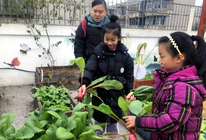 四川省成都市金牛區(qū)金魚街社區(qū)關(guān)工委開展“親子食育課程之慶豐收話未來”活動