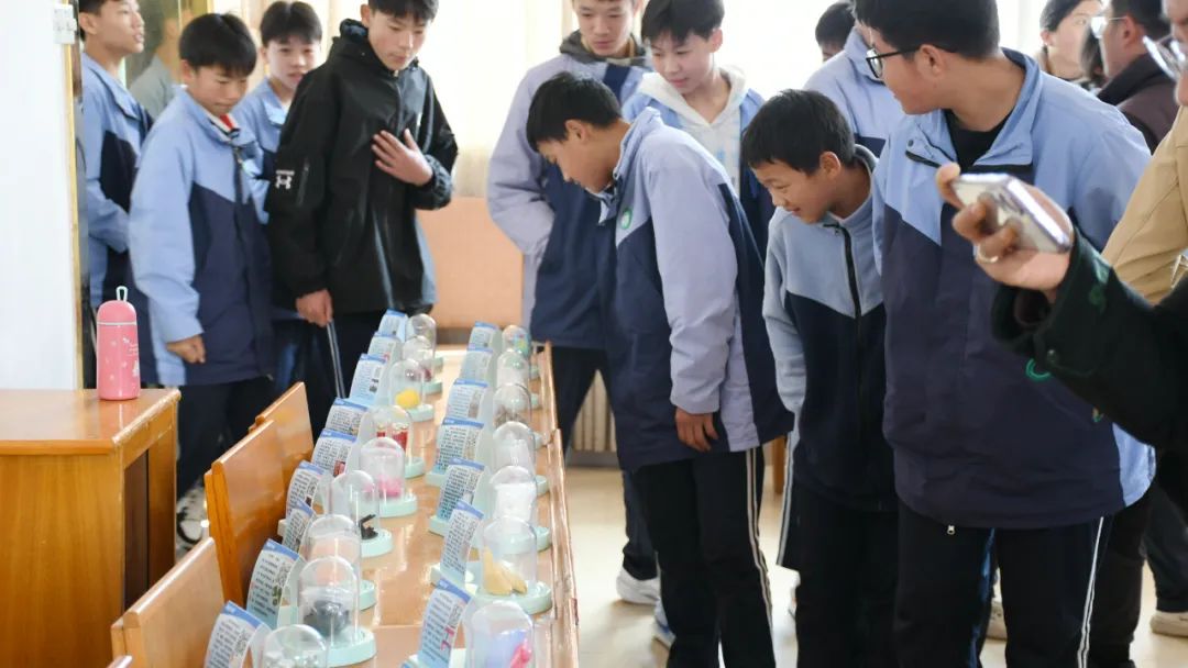 1704442768134470.jpg 會(huì)東開(kāi)展禁毒宣傳進(jìn)校園 (1).jpg