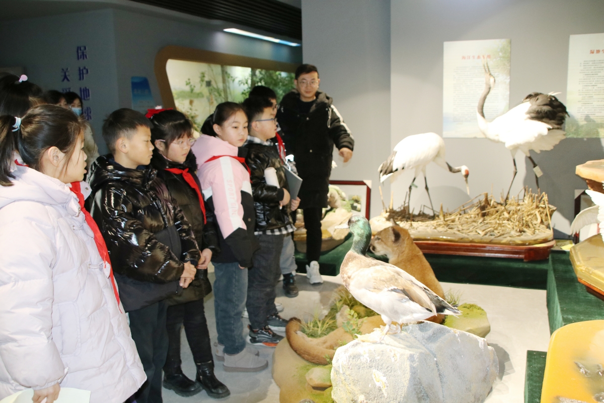 1704804642883641.jpg 2.JPG