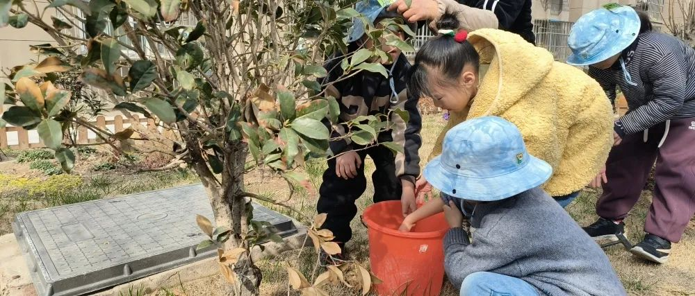 1710141788251337.jpg 1710140365244.jpg