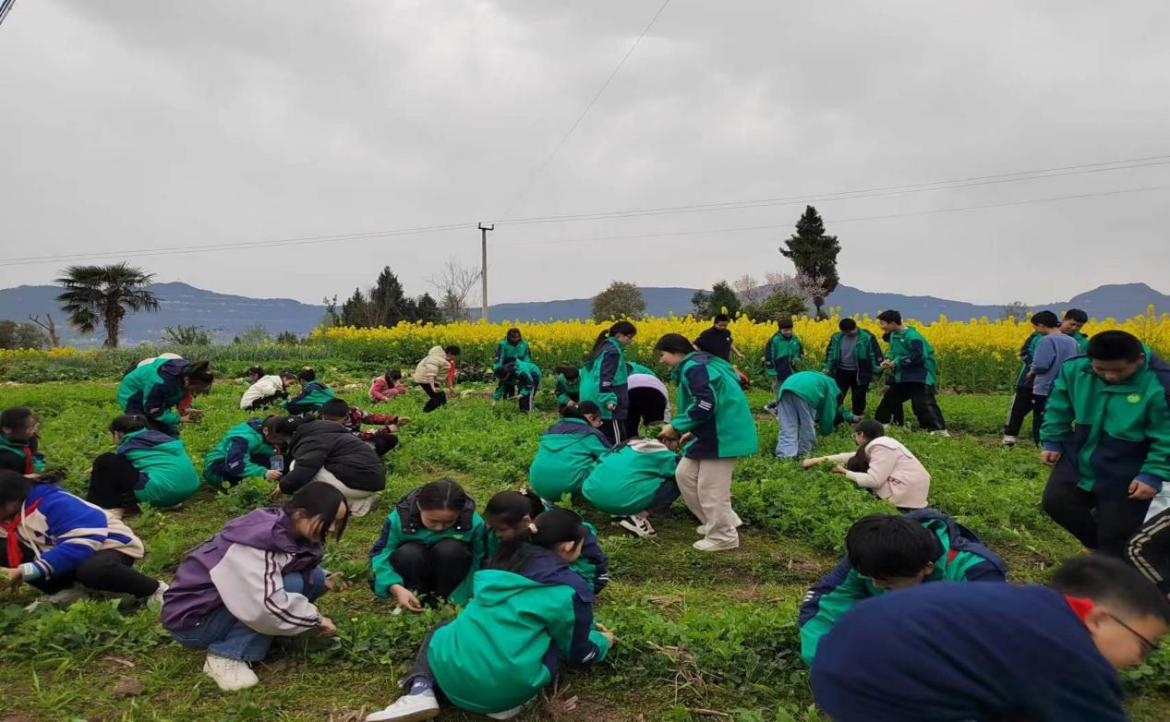 1710463284262777.png 3e4b5214c05eedc27f61cb721f91aaa.png