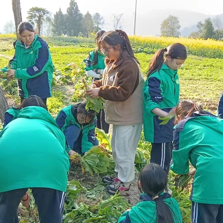 1710463305923870.jpg 5b6e811bbec8395baad8fdc11ec88d4.jpg