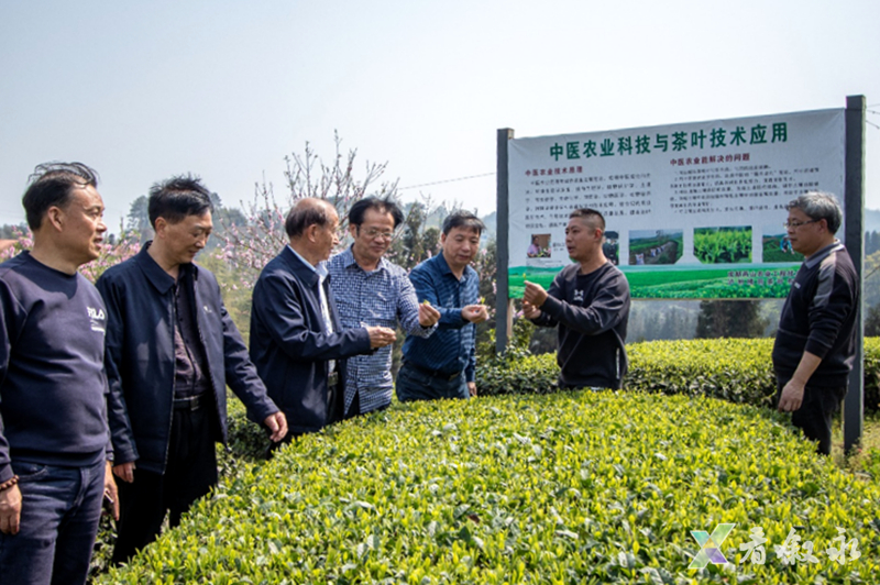 1711351782281195.png $RDMYQE7.png