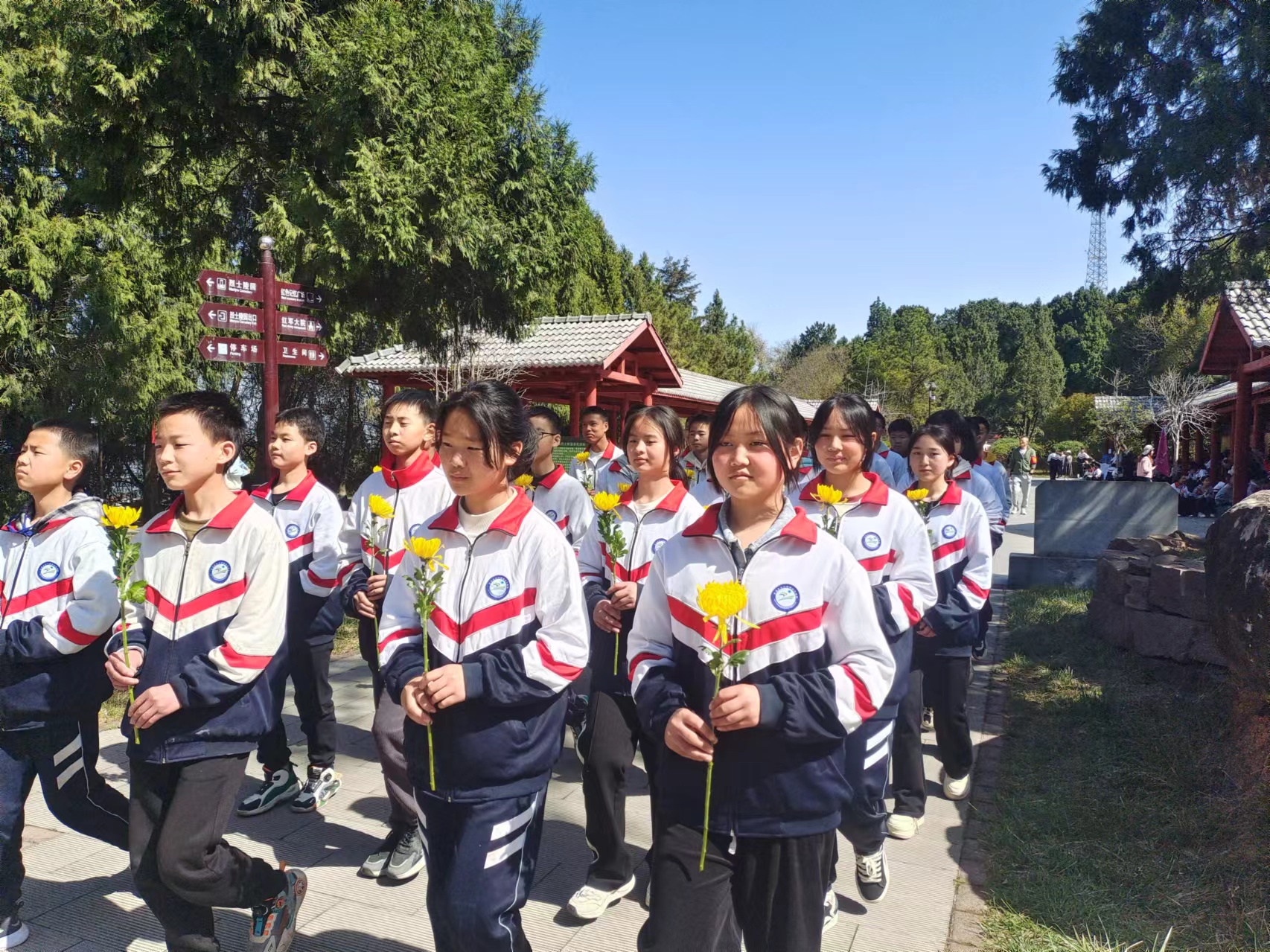 1712024035808306.jpg f129b7470245c381bdae2295aa7d210.jpg