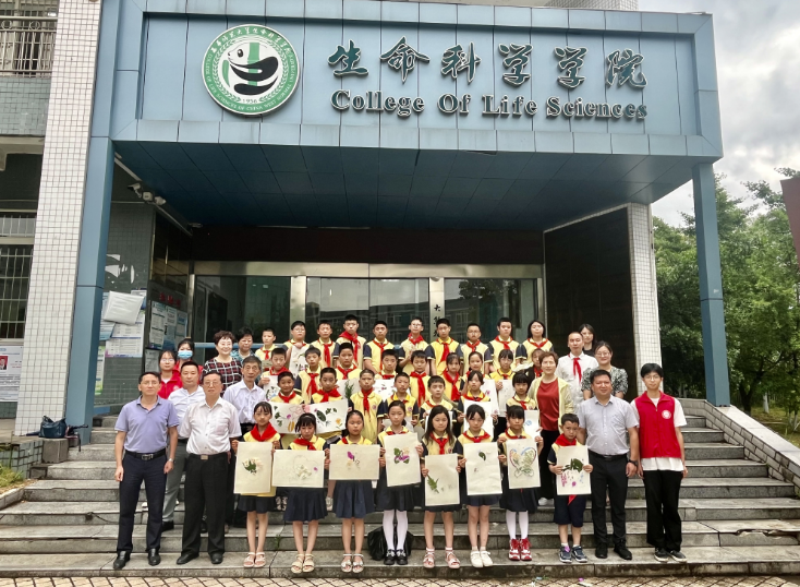 1717401047540237.png 1717401024287.png