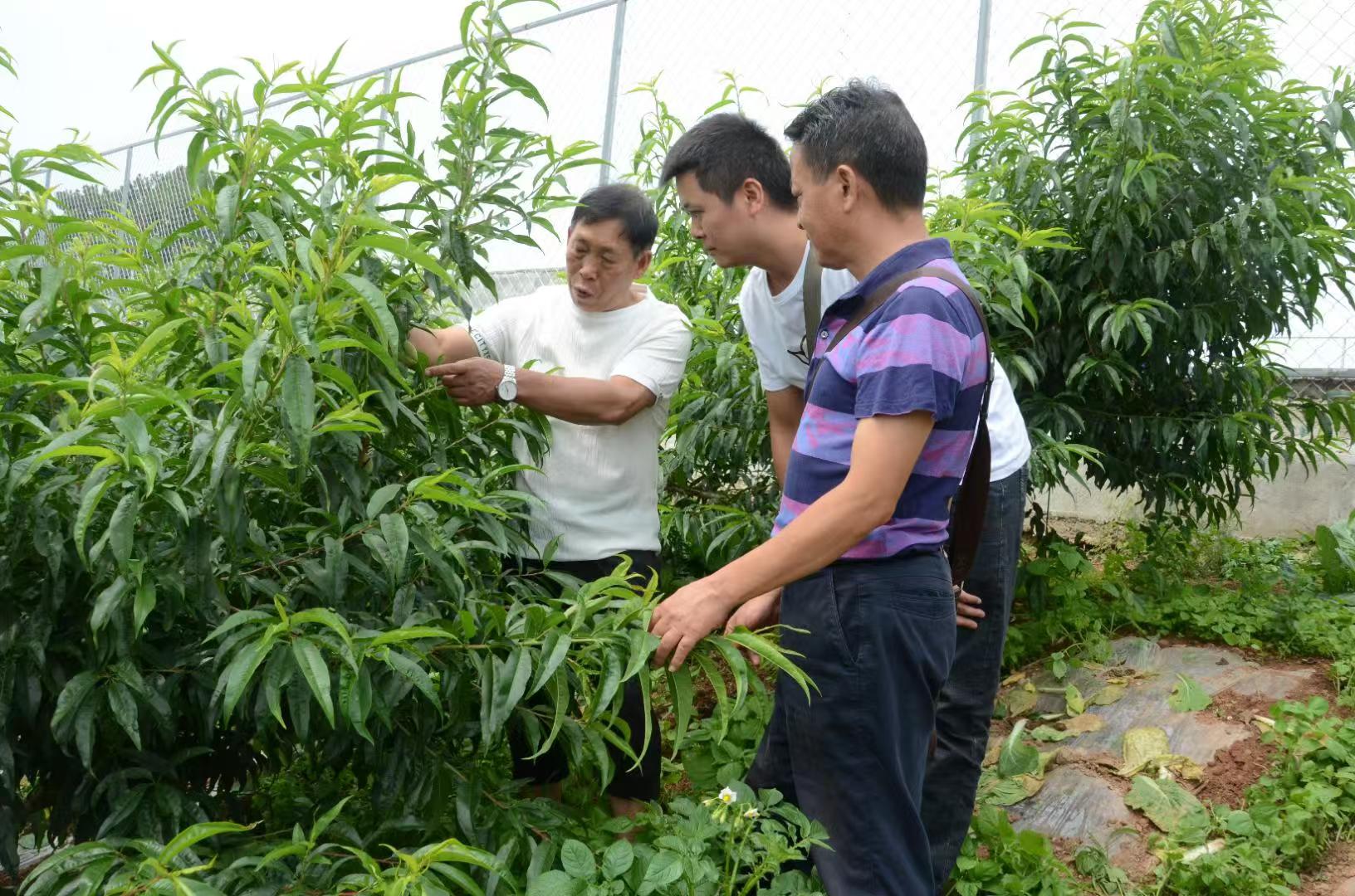 1724891606807319.jpg 197fd6b55f22ad597573f55f69d2df4.jpg