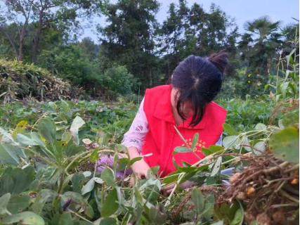 1725593842504760.png 微信圖片_20240906112826.png