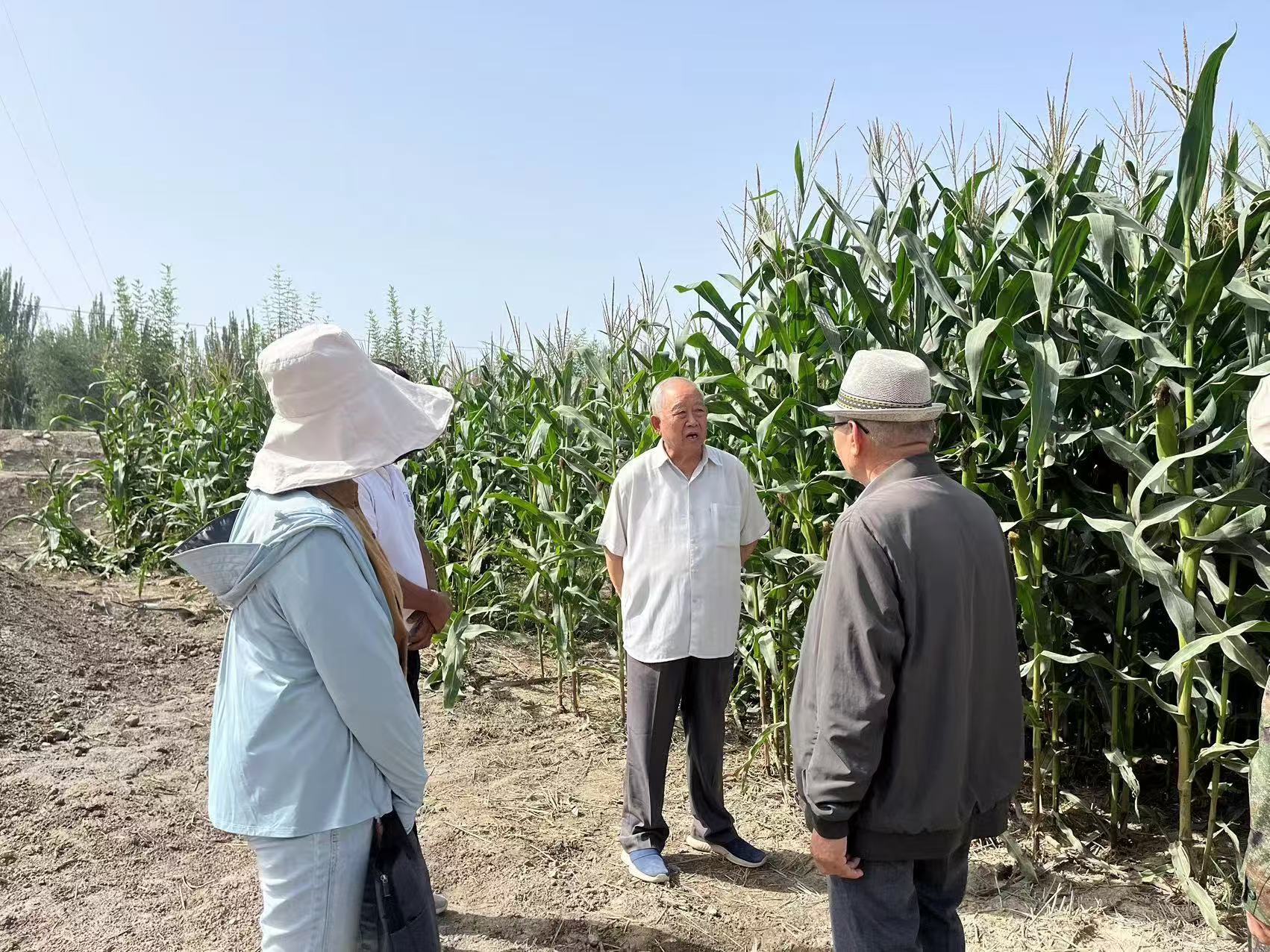 1725687940923990.jpg 2.jpg