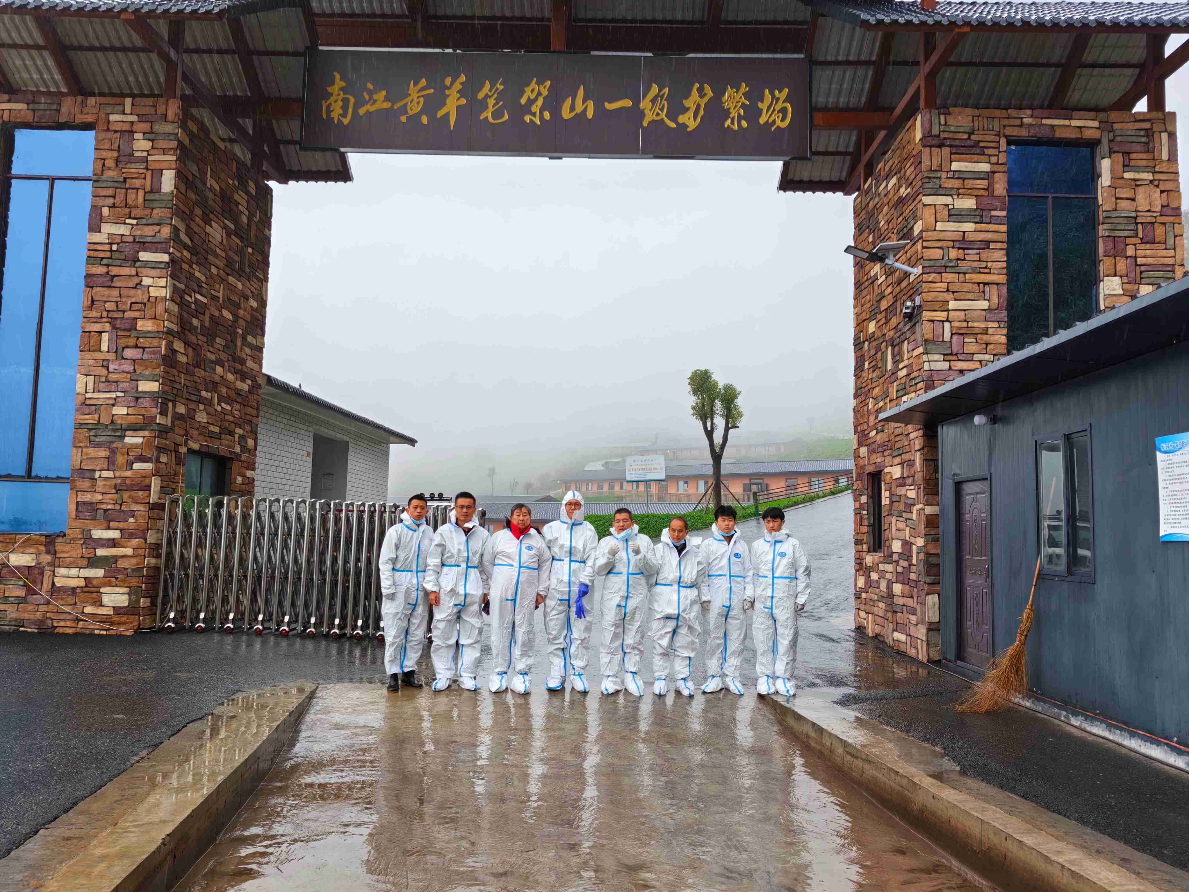 1730968969956247.jpg d16f6563af7f03cabfa0935bd1c3dec(1).jpg