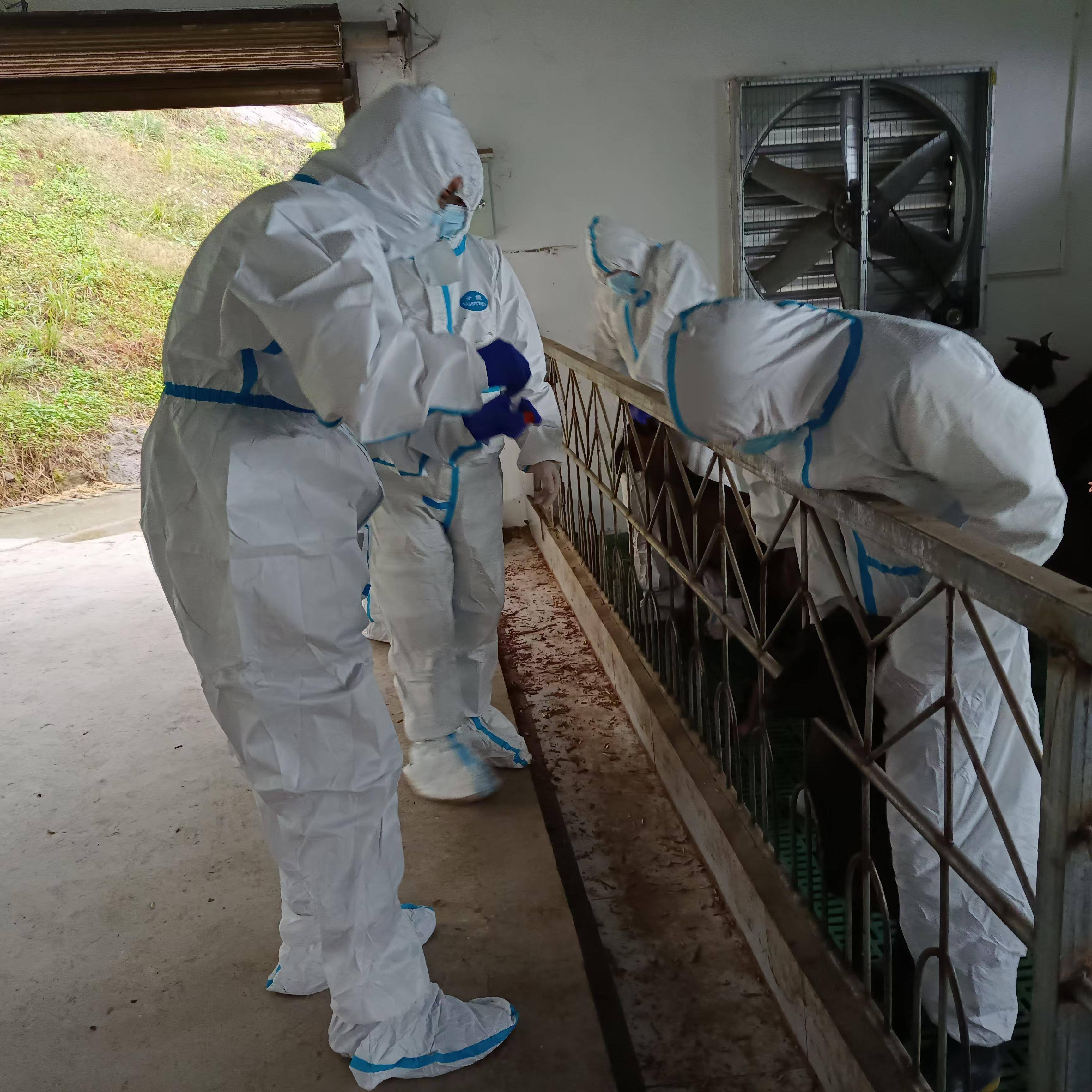 1730968980511254.jpg b9718892226bebf475d34ee1aaae3c8(1).jpg