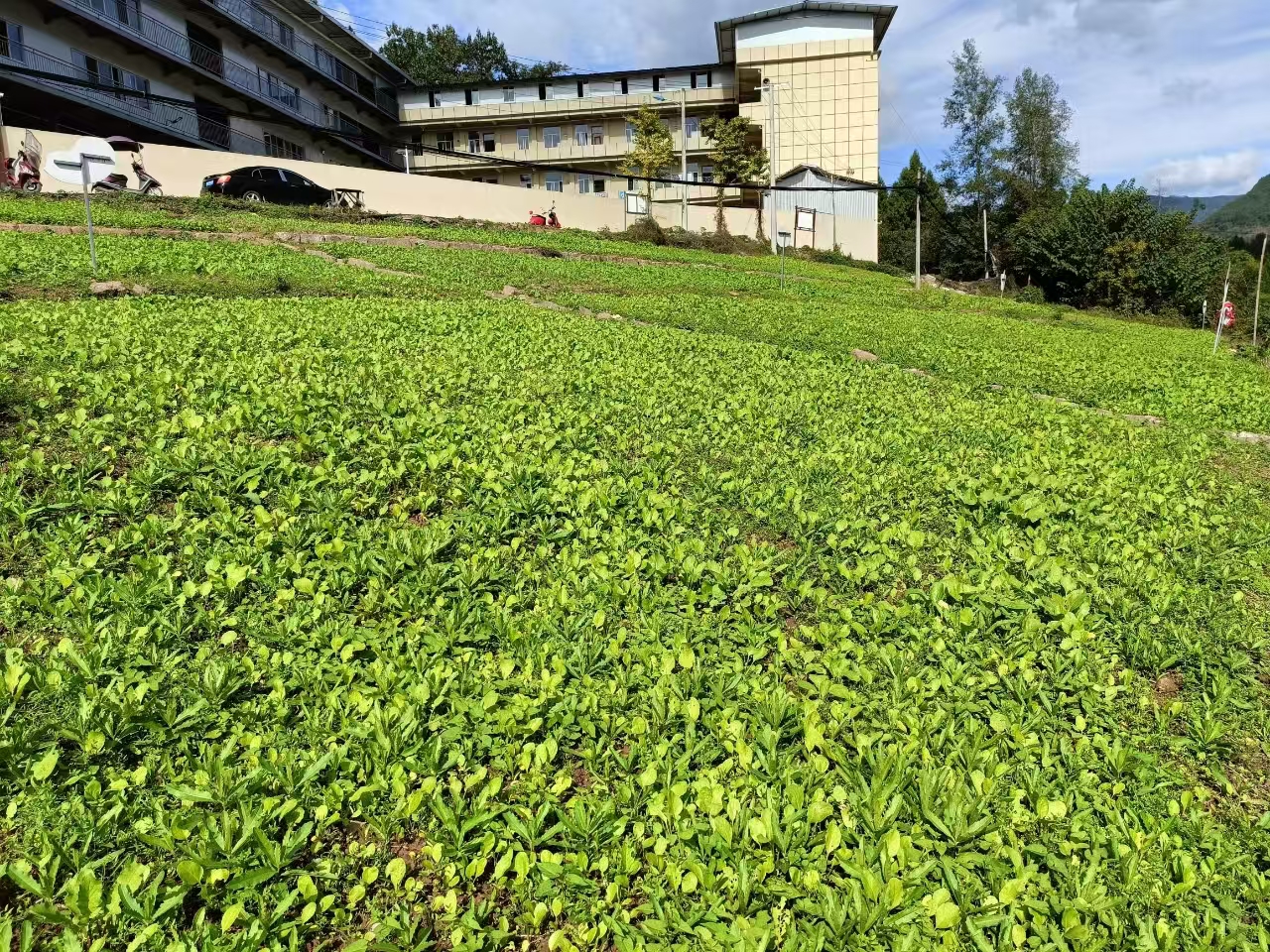 1731575731374714.jpg 微信圖片_20241114165232.jpg