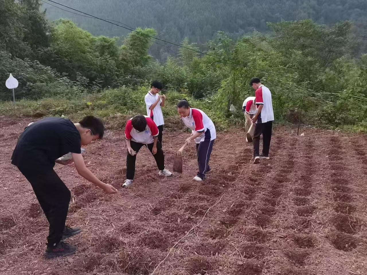 1731575820315860.jpg 微信圖片_20241114165246.jpg