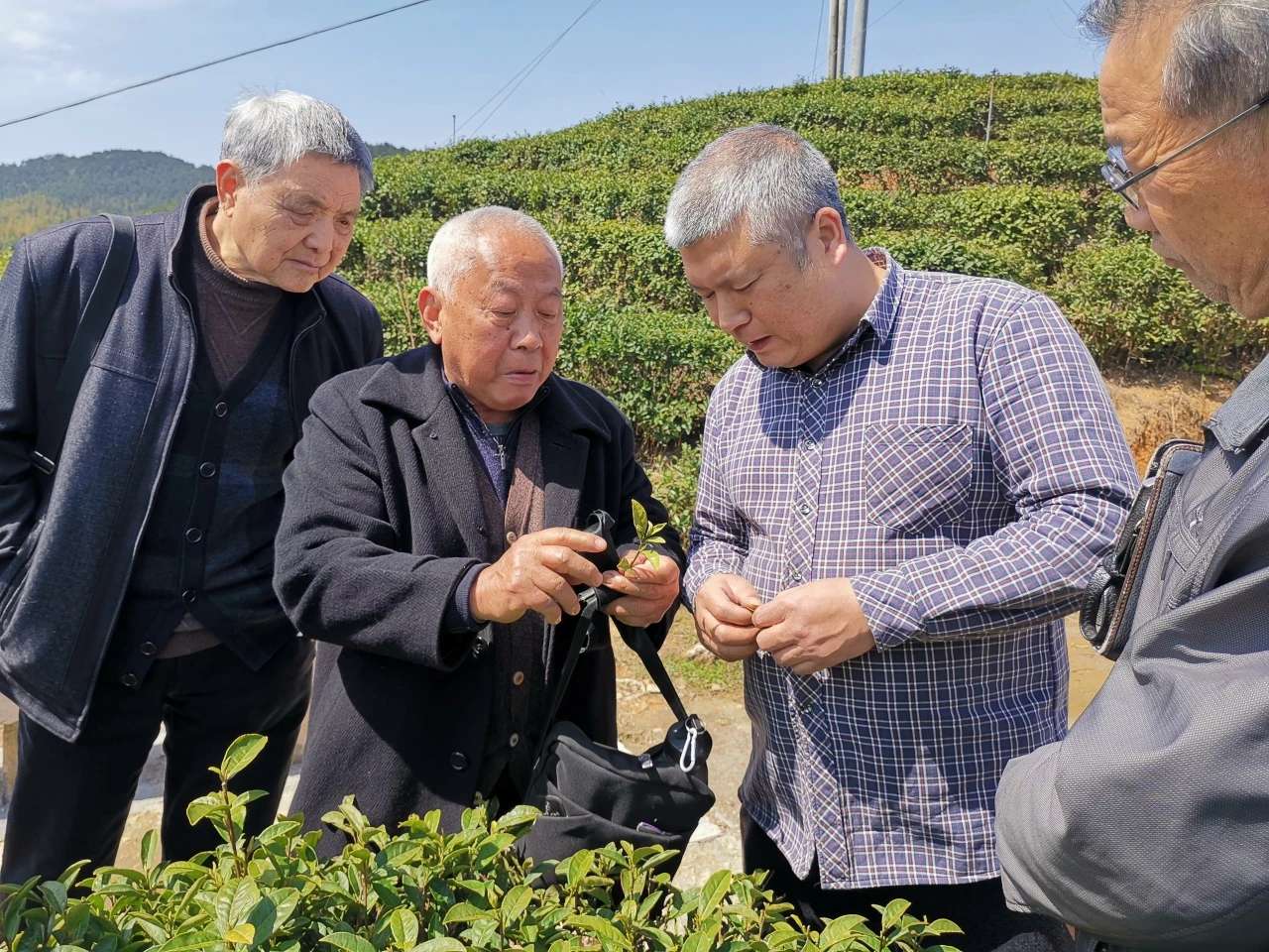 1731630921336414.jpg 4.jpg