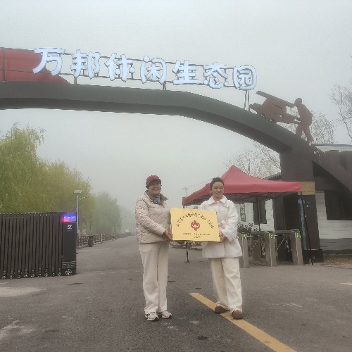 1733400884304381.jpg 003.jpg