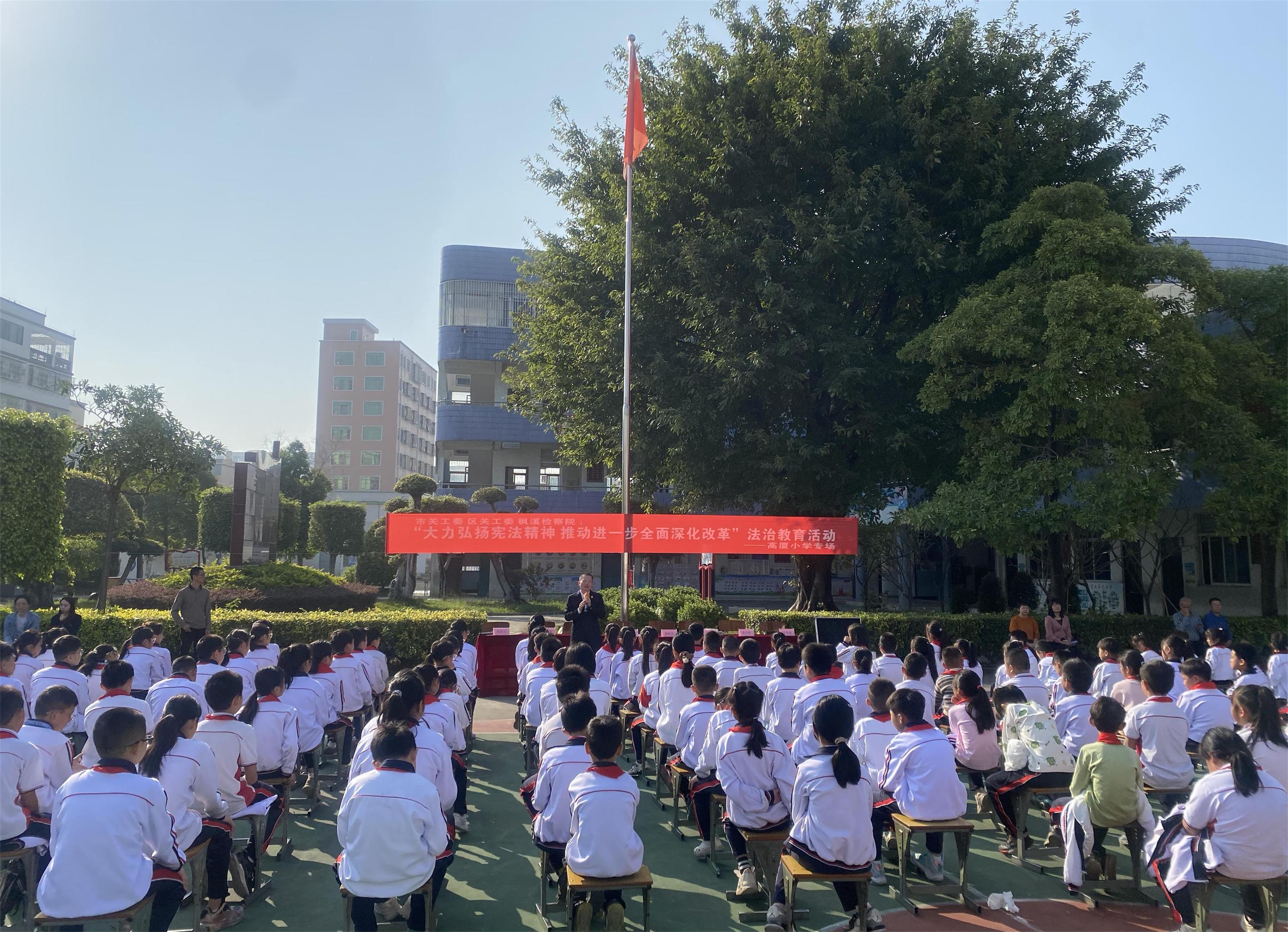 1733472464426091.jpg 1.jpg