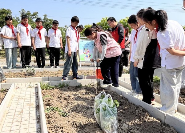 1745885065956032.jpg 1745885065956032.jpg