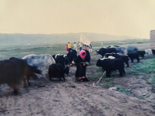 1747033635705896.jpg 2da0c0f6b7741943f6b7e05bb89790a_副本.jpg