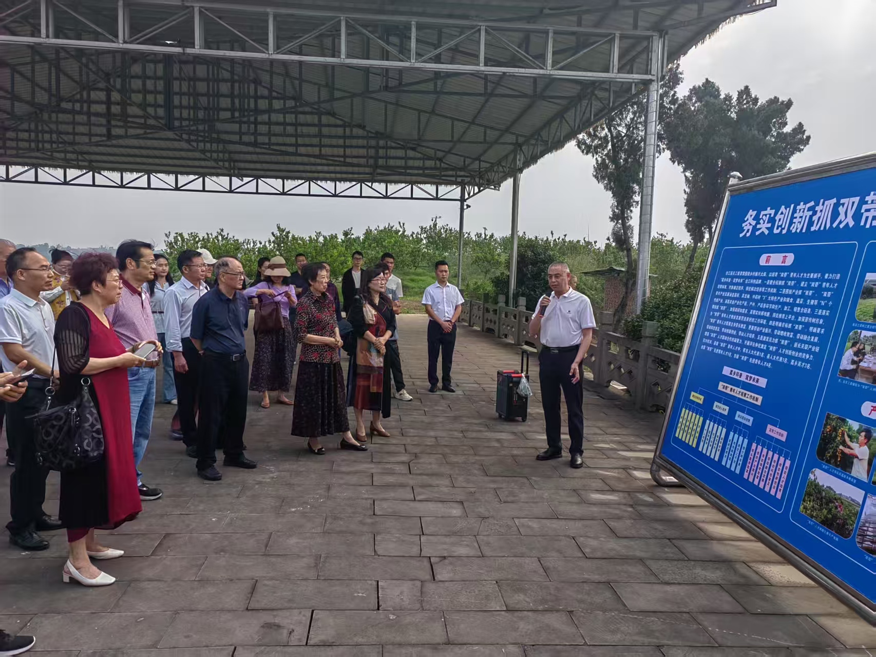 1747210343650877.jpg ae8b32721b41728fdeff4a0be38bdc8.jpg