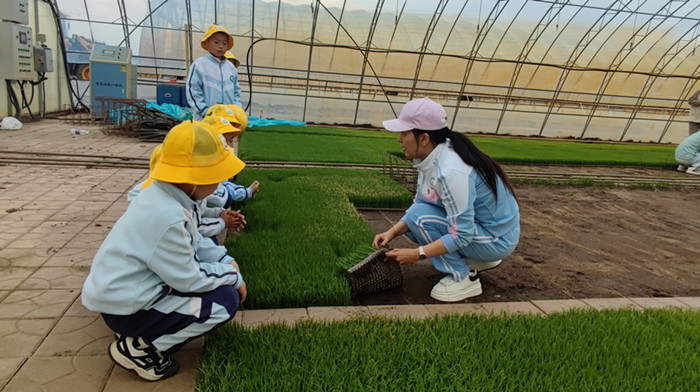 1747291646199963.jpg 472808CCDD7742B94717D4F75B124705.jpg