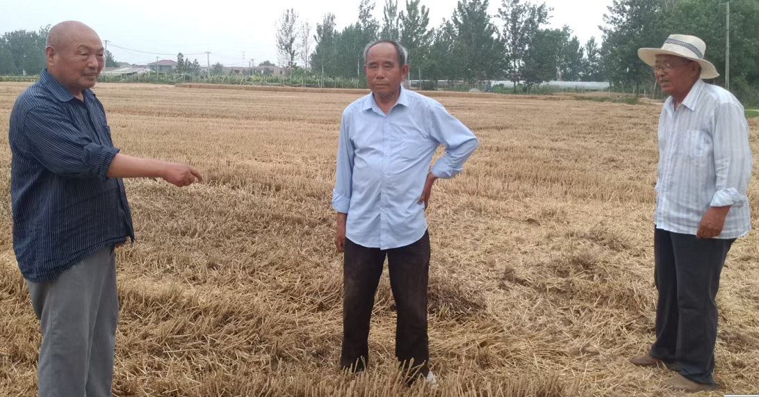 1749347832828653.png 4298a8dbb8520a66592da6e2c567728.png