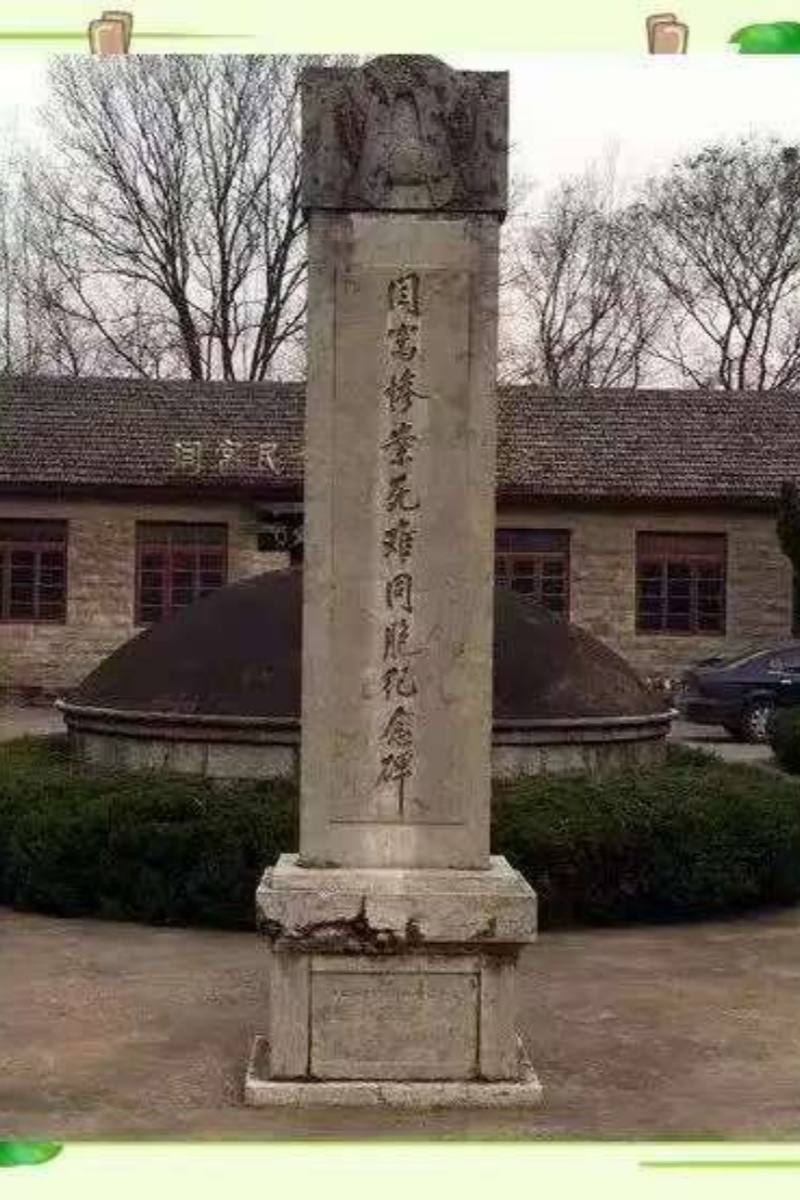 1751166658523949.jpg 001.jpg