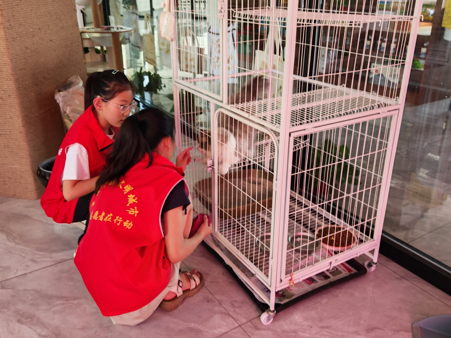 元寶山區(qū)西城街道新景四季東社區(qū)“小小治理家 社區(qū)大管家”活動(dòng)照片4_副本.jpg