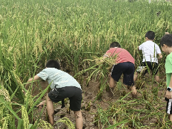 1756190423416193.png 微信圖片_20250826142541.png