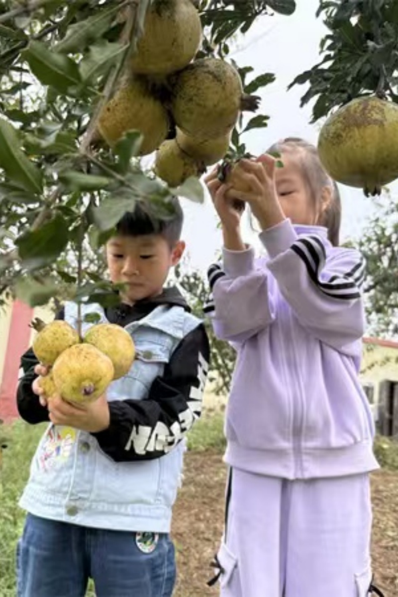 1760167962948129.jpg 02.jpg