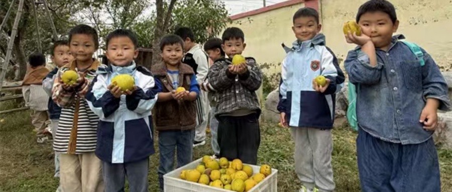 1760168004684726.jpg 03.jpg