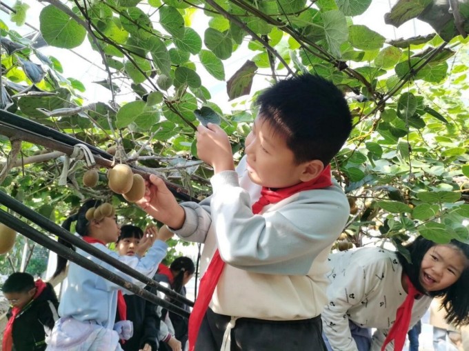 1763367492716668.jpg 圖片 1.jpg