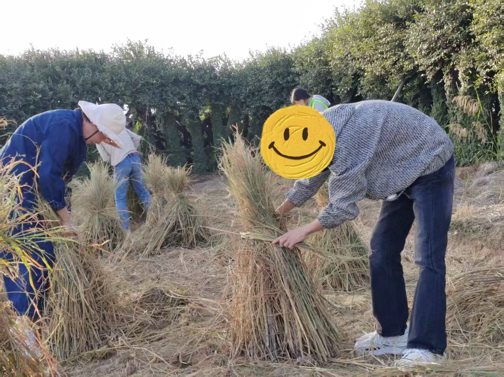 1764319512507708.jpg 6df13a19ffd176aec1b80da681968790.jpg