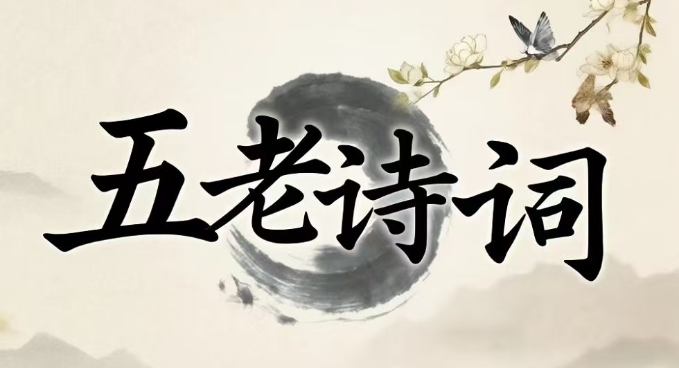 1764723441113152.jpg e7e47a73d7312a591b2b8748ec4f7dda.jpg