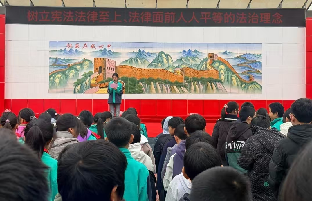 1765000321511880.jpg 2.jpg