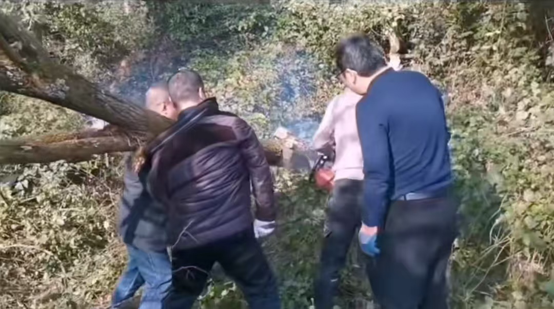 1767598889631796.jpg 微信圖片_20260105153000_2_17.jpg