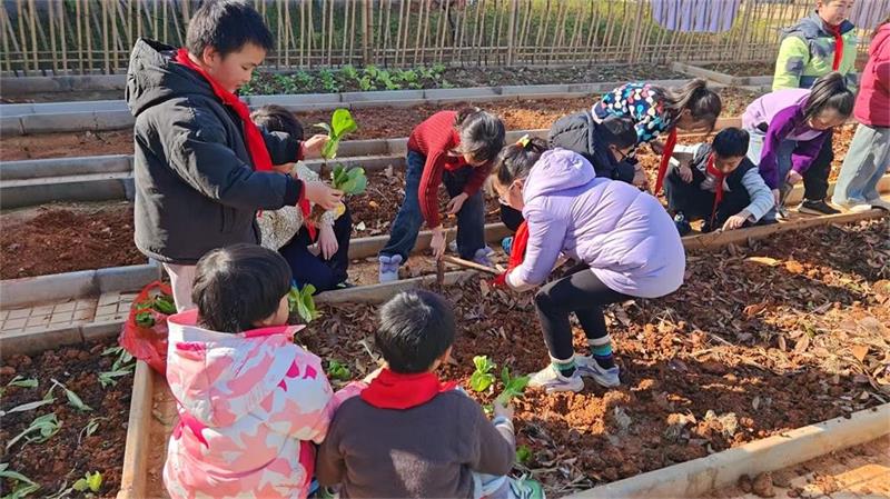 1768115620779545.jpg 微信圖片_20260108155530_122_84.jpg