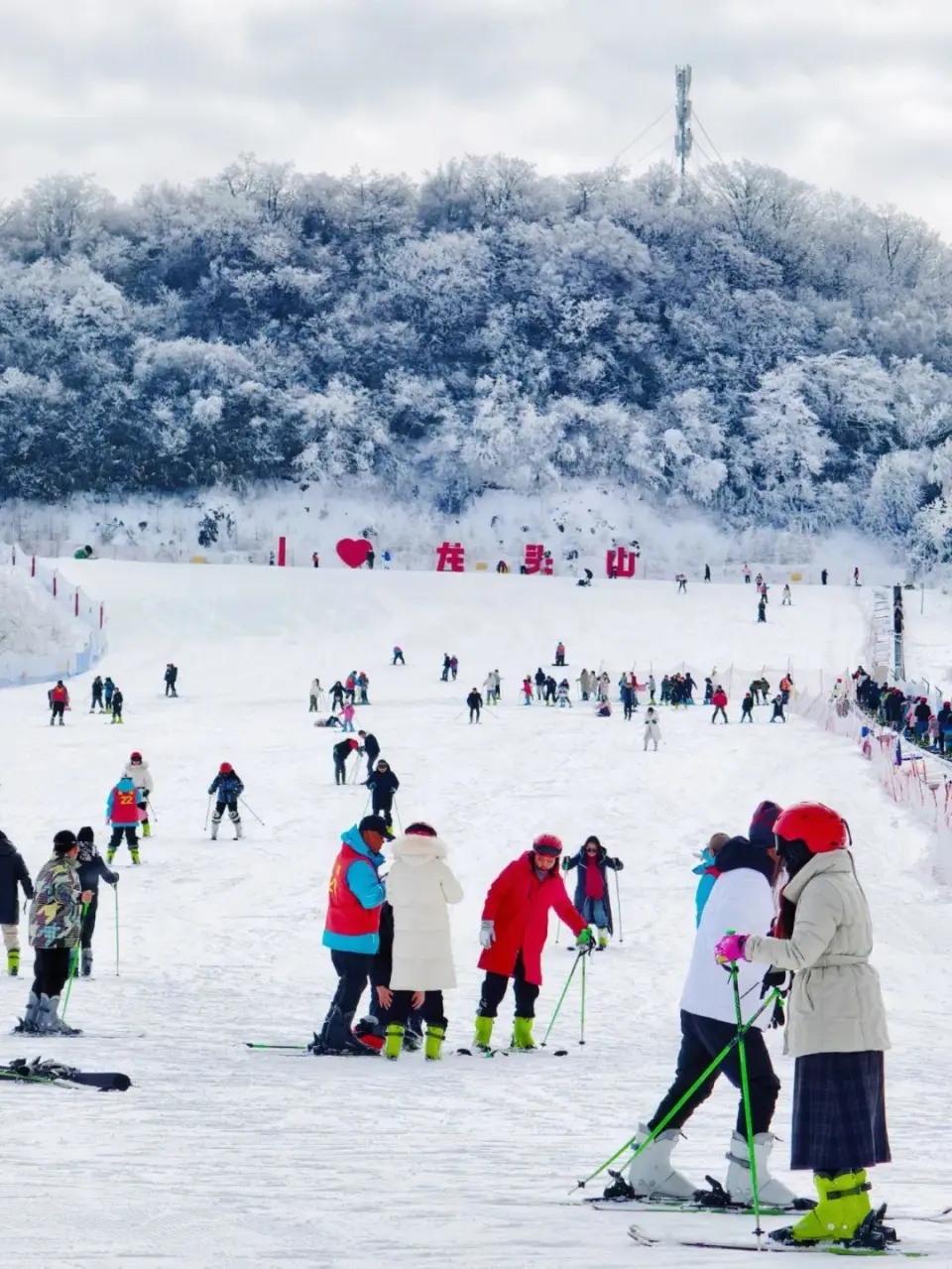 1768266272553825.jpg 3.jpg