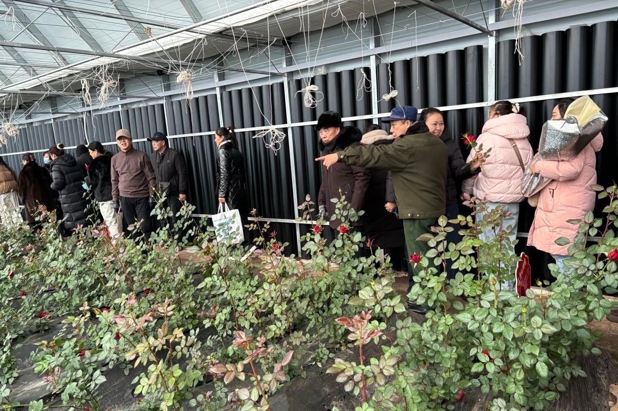 1769065520343858.jpg 微信圖片_20260122150330.jpg