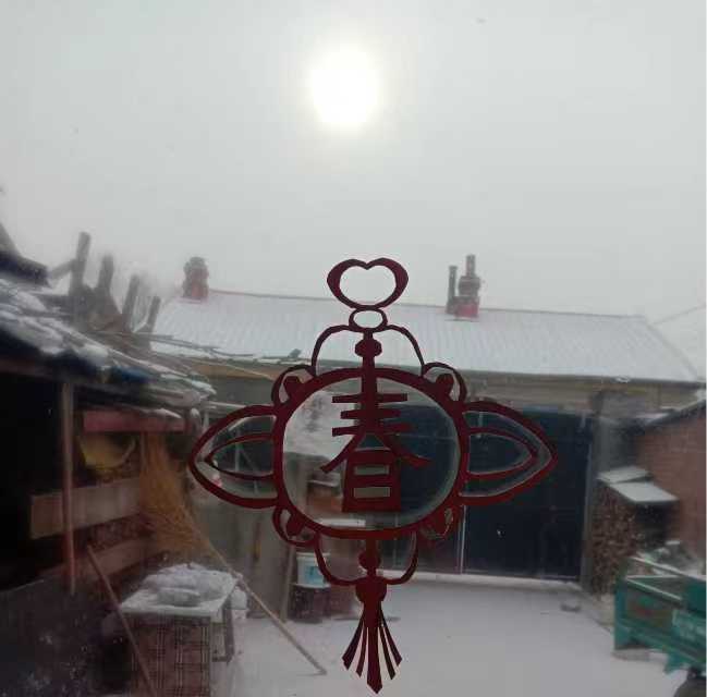 1770018608980944.jpg 1770018608980944.jpg